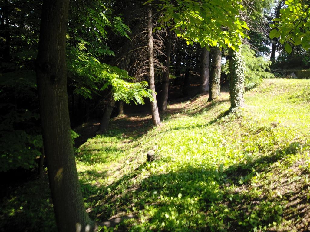 Diano dʼAlba Casa Badinotゲストハウス 部屋 写真