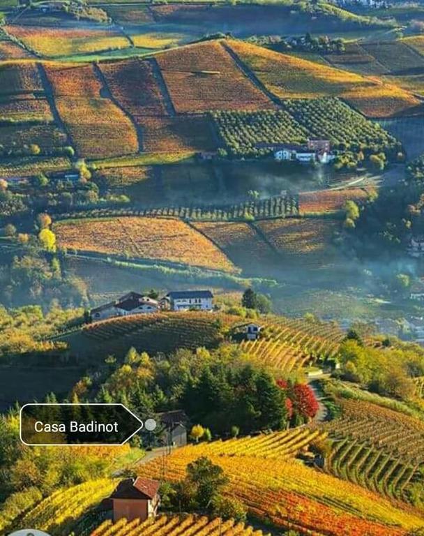 Diano dʼAlba Casa Badinotゲストハウス エクステリア 写真